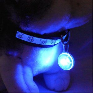 LED Safety Light for Dog Collar, Walking, Jogging, Kids